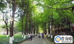 校园文化建设是学校发展的重要保证