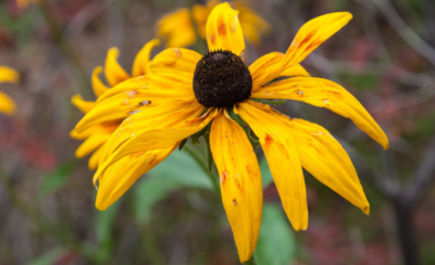 怀柔有什么好玩的地方