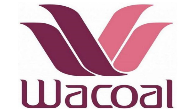 十大胸罩品牌排行榜