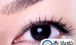 假眉毛贴能维持多久