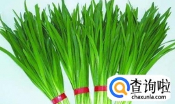 韭菜不能和什么一起吃