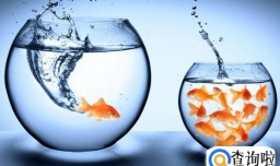 当职场遇到瓶颈你应该怎么做？