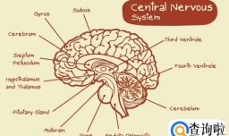 高手教你扑克牌记牌技巧