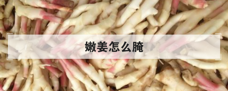嫩姜怎么腌