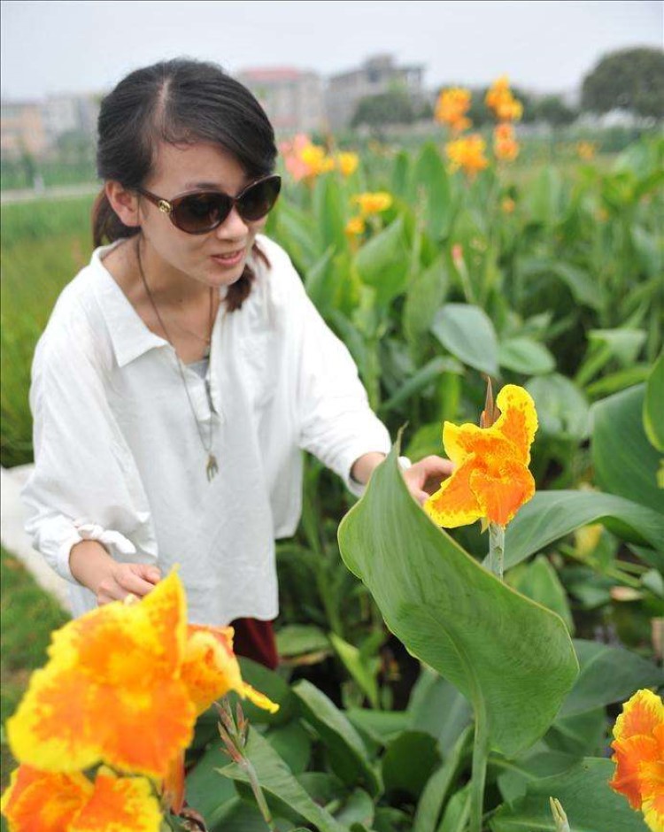 集美是什么意思