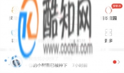 支付宝里蚂蚁森林的合种树怎么做？