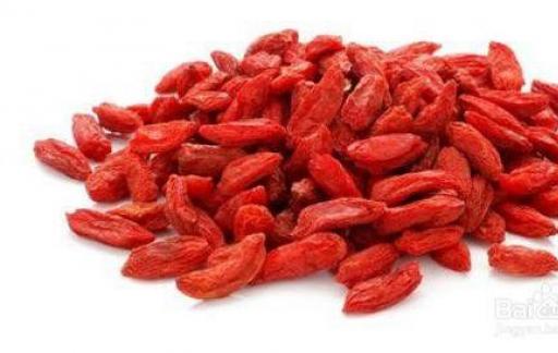 枸杞怎么吃补肾效果最佳