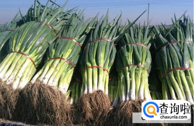 生吃大葱有什么功效