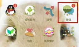 如何在网上查看驾驶证被扣多少分
