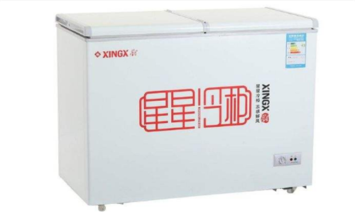 冰柜排行榜前十名家用