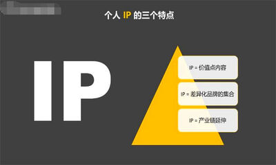 ip是什么意思