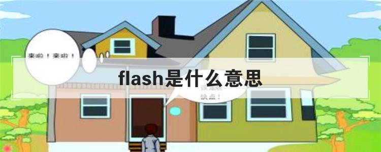 flash是什么意思