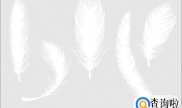 羽毛笔的制作方法