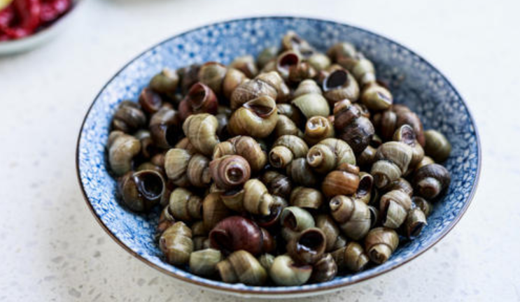 螺蛳是河鲜还是海鲜