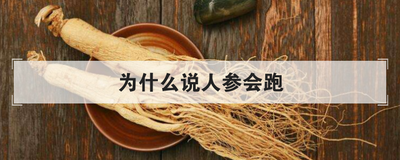 为什么说人参会跑