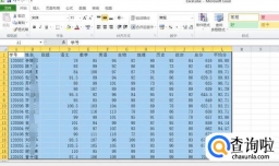 Excel2010如何在表格中排名次？