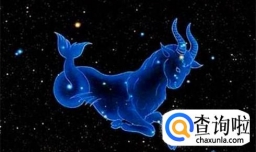 如何追求摩羯座男生