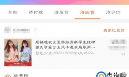 淘宝退运保险怎么用