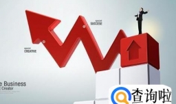 股票是什么？股票的由来