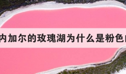 塞内加尔的玫瑰湖为什么是粉色的