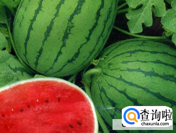 西瓜该怎样挑选