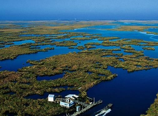 世界上最大的平原在哪个洲