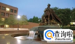 英国萨福克学院院系设置