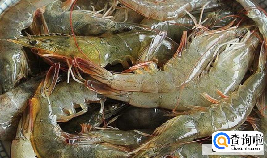 怎么挑选新鲜的虾
