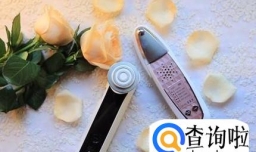 为何要使用导入导出仪: