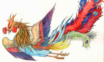 世界上有没有凤凰存在