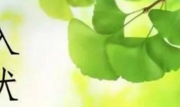 入伏从哪一天开始算起？