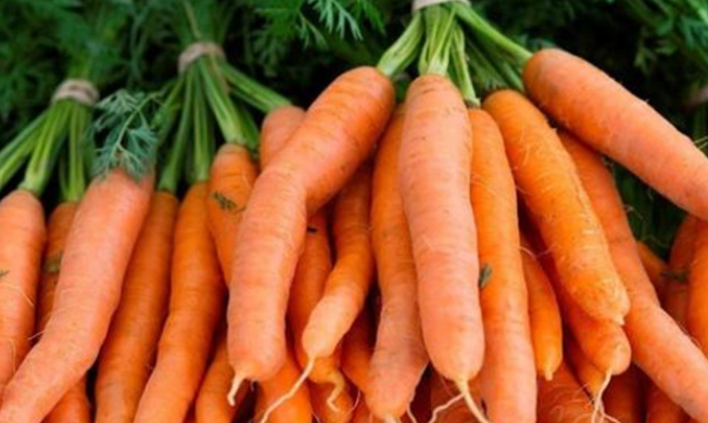 美白食物排行榜10强