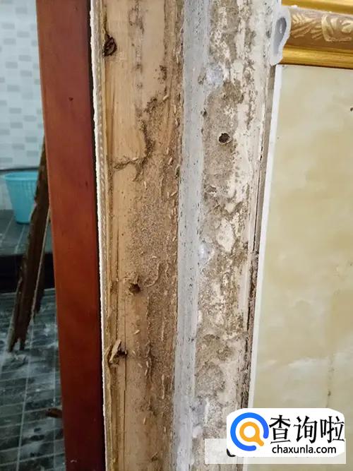 门框里面有白蚁,怎样才能消灭