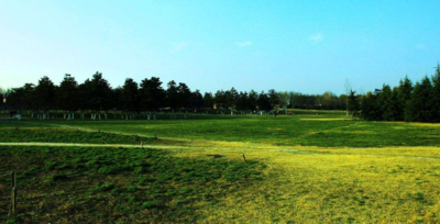 美不胜收是什么意思