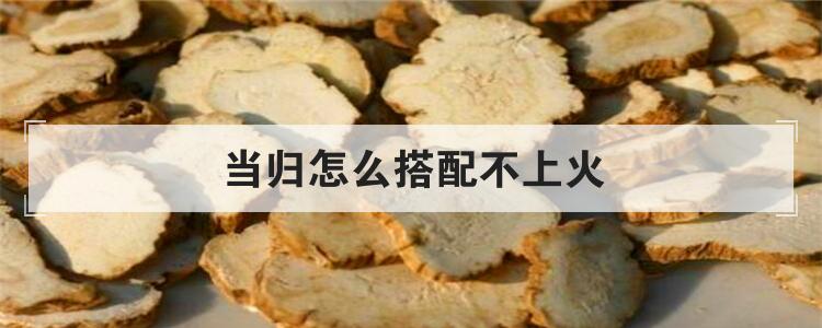 当归怎么搭配不上火