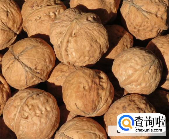 吃什么坚果容易黑头发