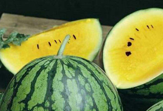 西瓜的品种有哪些