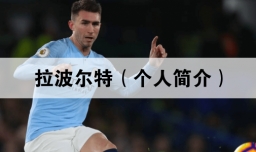 艾默里克·拉波特（个人简介）