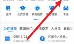 苏州个人社保怎么交费
