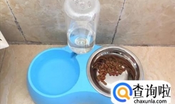 小狗一天喝多少水合适