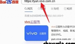 vivo丢了手机怎么确定手机位置