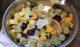 怎样给小动物健康减肥？