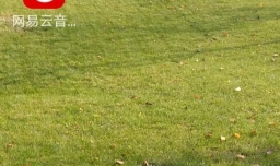 网易云音乐怎么设置桌面歌词