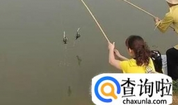 钓虾的各种方式