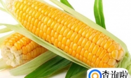 狗粮都是怎么做的？狗粮的成分是什么？