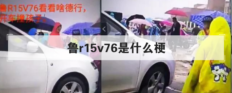 鲁r15v76是什么梗