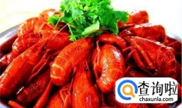 如何挑选龙虾？