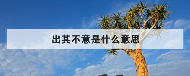 出其不意是什么意思
