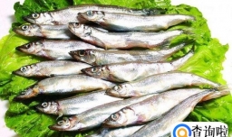 多春鱼如何烹制