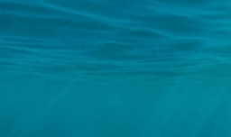 新到手的戴尔笔记本如何分区？（win10）